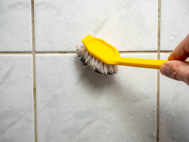 Best Mold Testing  in Bedford, VA