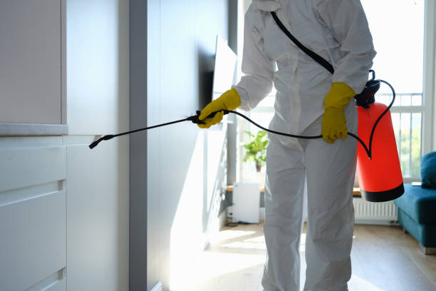 Best Home Mold Removal  in Bedford, VA