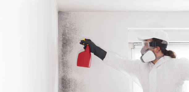 Best Commercial Mold Removal  in Bedford, VA