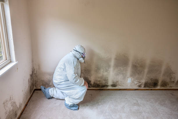 Best Mold Cleaning Services  in Bedford, VA